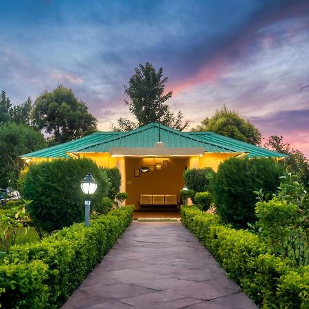 Tusk And Roar Corbett Resort, Jim Corbett Ramnagar  Dış mekan fotoğraf
