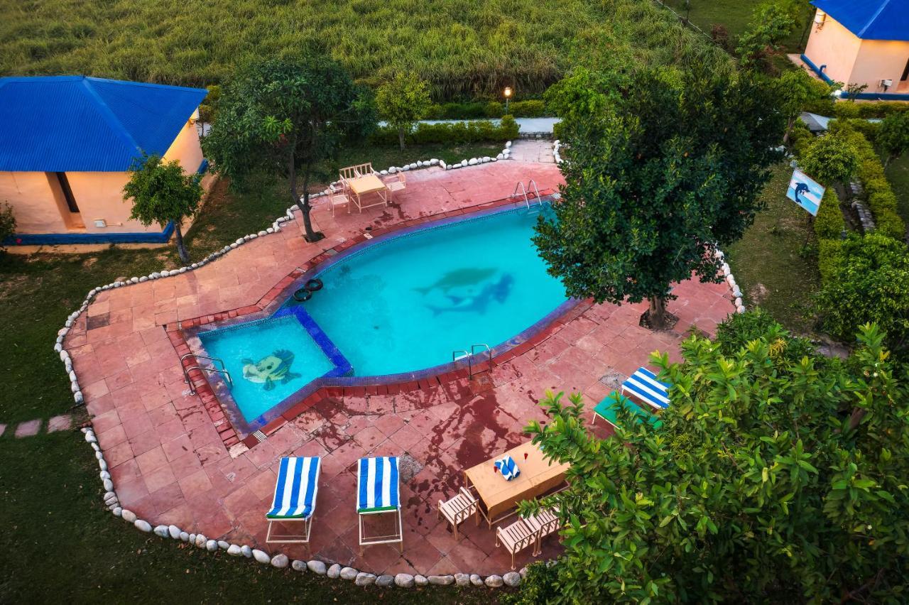 Tusk And Roar Corbett Resort, Jim Corbett Ramnagar  Dış mekan fotoğraf